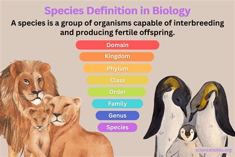 Species .